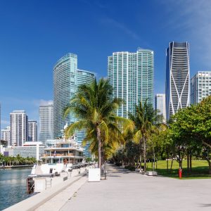 247 Miami